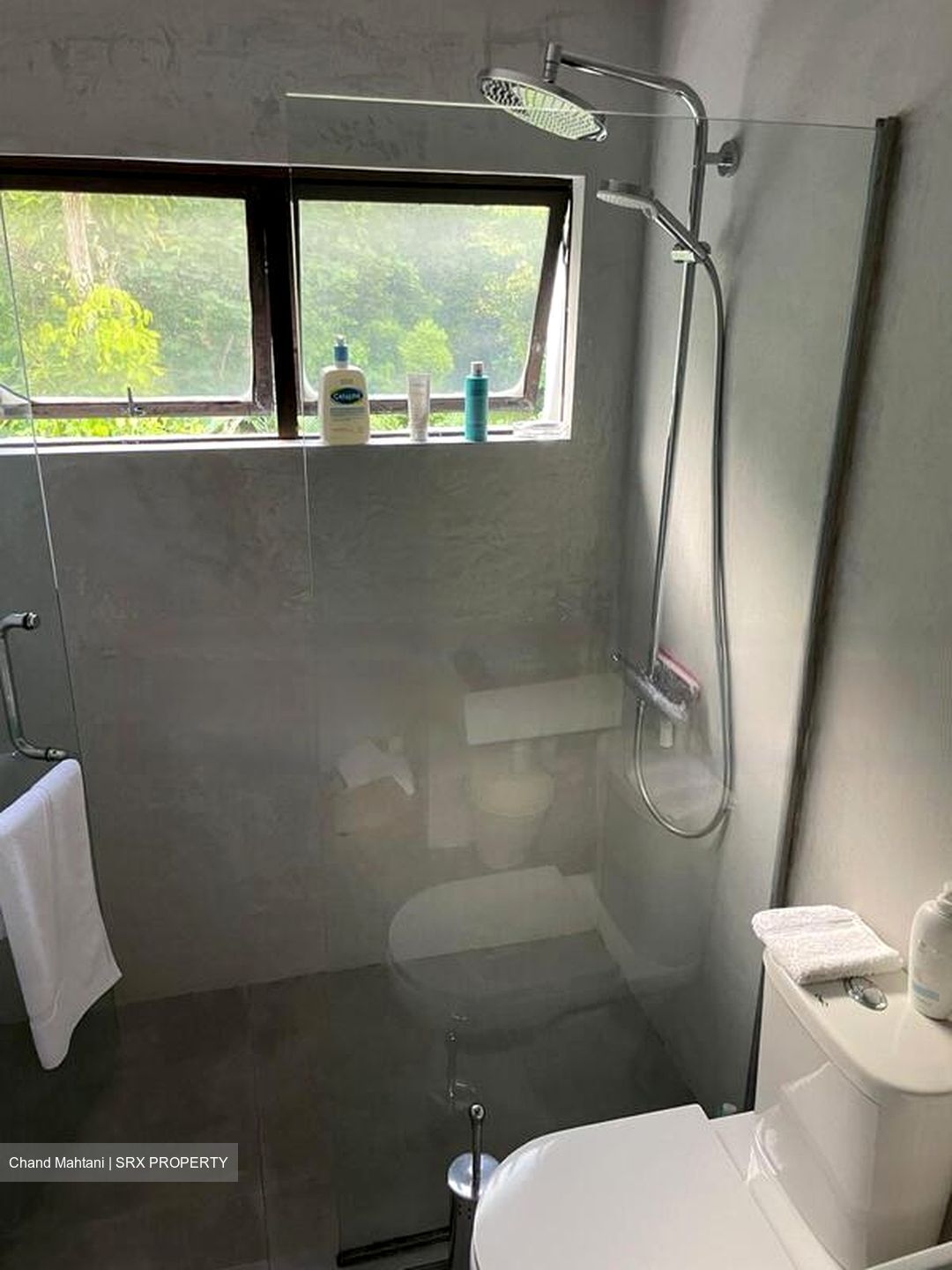 Dynasty Garden (D10), Condominium #485884791